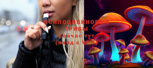 бошки Лиски